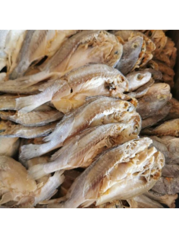ikan_gelama_belah_100gm