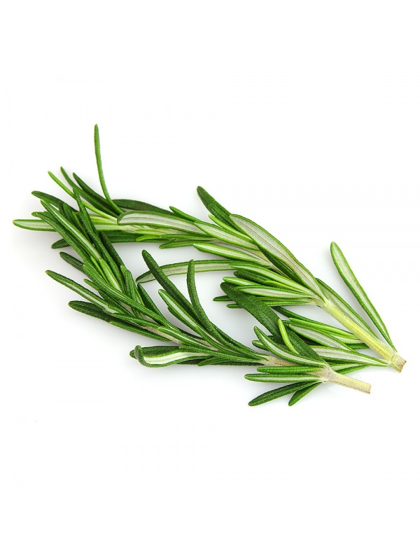 rosemary_118528998