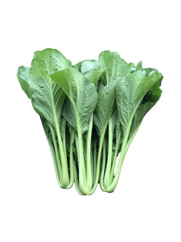 sawi-benih-seeds-sh610-custom_1992377162