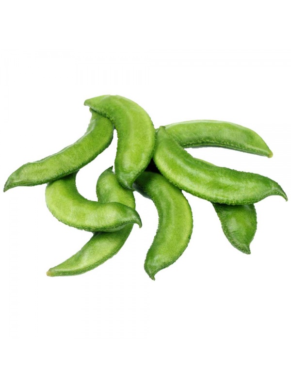 sem-1000x1000-1_570710261