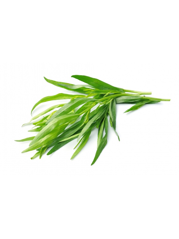 shutterstock_190425392-1_1252647437