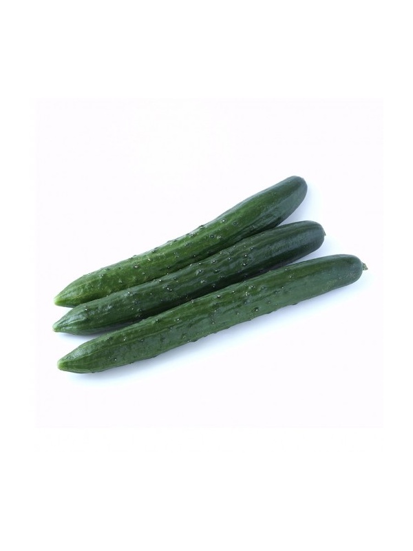 timun-jepun-515x515_206986228