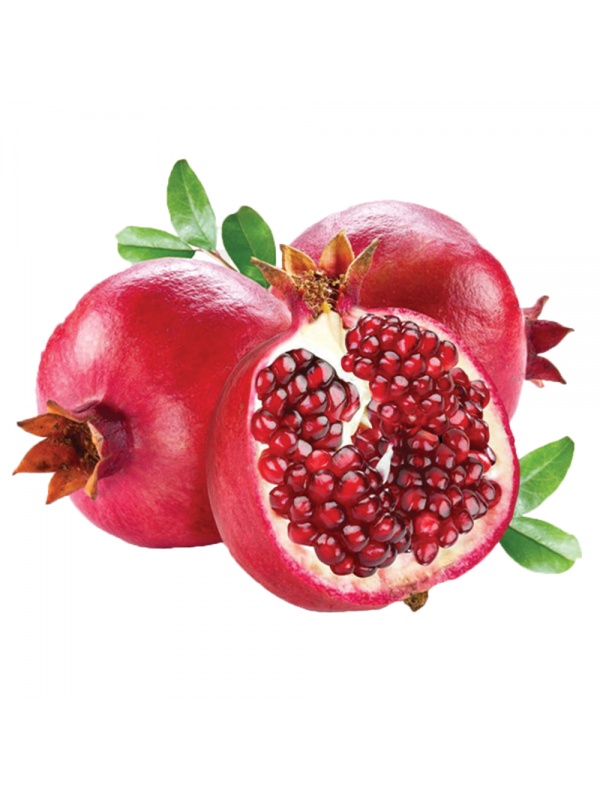 untitled-1_1753335402