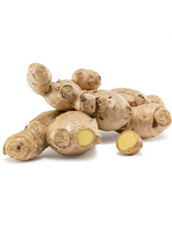 wepmvyn51584605729-640x640_463871330